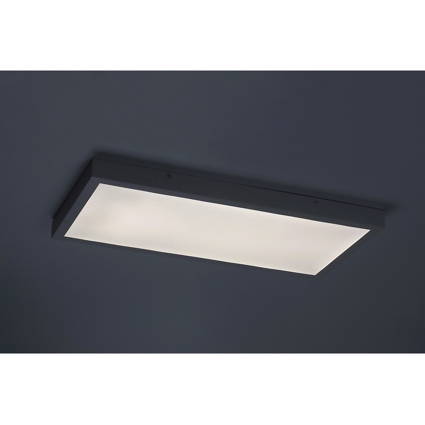 Rabalux - LED Panel natynkowy LED/24W/230V 4000K 60x30 cm