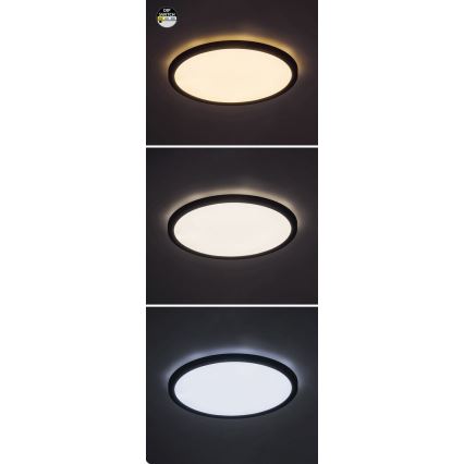 Rabalux - LED Lampa sufitowa LED/24W/230V 3000/4000/6000K śr. 29 cm czarna