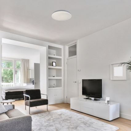 Rabalux - lampa sufitowa LED 12W/230V 4000K Ø 25,5 cm