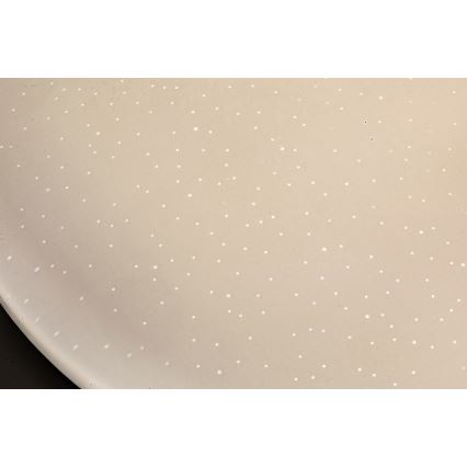 Rabalux - lampa sufitowa LED 12W/230V 4000K Ø 25,5 cm