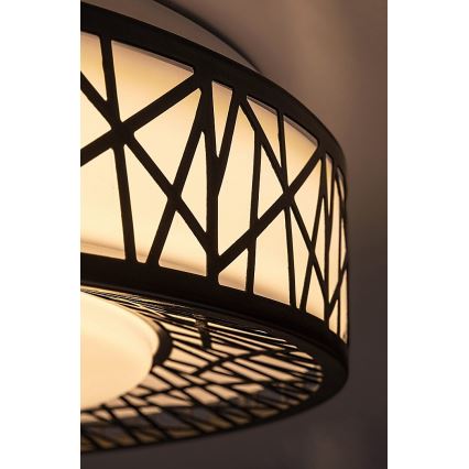 Rabalux - ściemnialna oprawa sufitowa LED/48W/230V 3000-6500K + z pilotem, śr. 49 cm