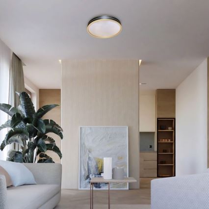 Rabalux - Ściemnialna lampa sufitowa LED/24W/230V 3000-6500K Ø39 cm + pilot zdalnego sterowania