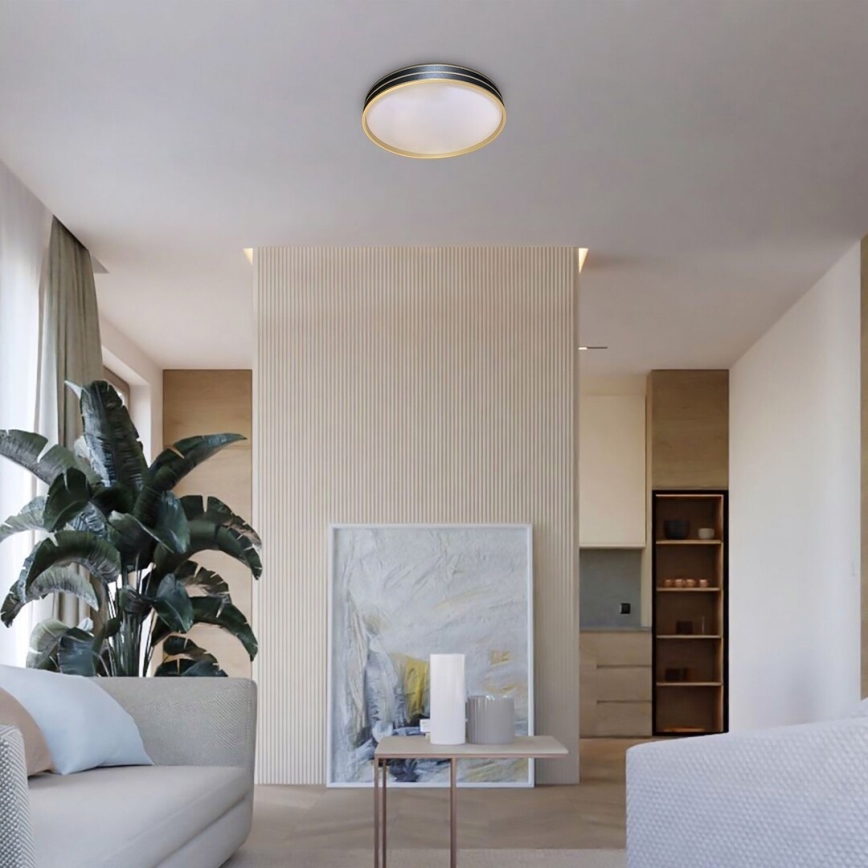 Rabalux - Ściemnialna lampa sufitowa LED/24W/230V 3000-6500K Ø39 cm + pilot zdalnego sterowania