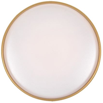 Rabalux - Ściemnialna lampa sufitowa LED/24W/230V 3000-6500K Ø39 cm + pilot zdalnego sterowania