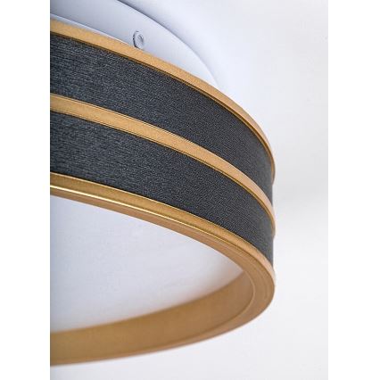 Rabalux - Ściemnialna lampa sufitowa LED/24W/230V 3000-6500K Ø39 cm + pilot zdalnego sterowania