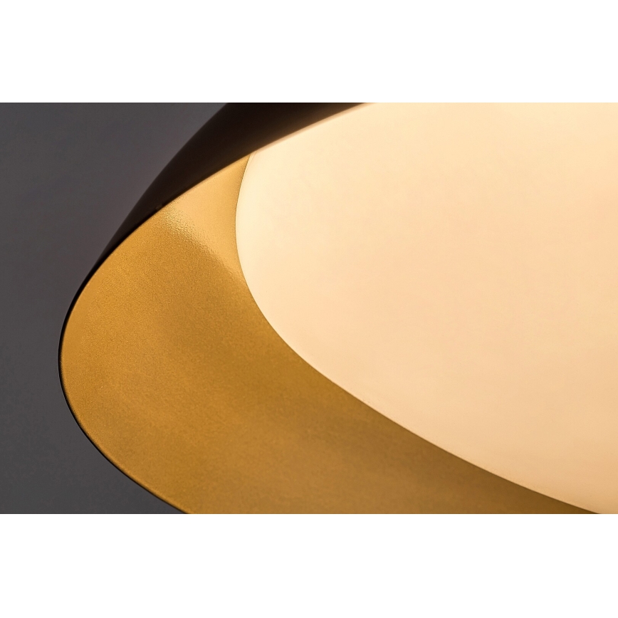 Rabalux - LED Plafon LED/20W/230V 3000K śr. 30 cm