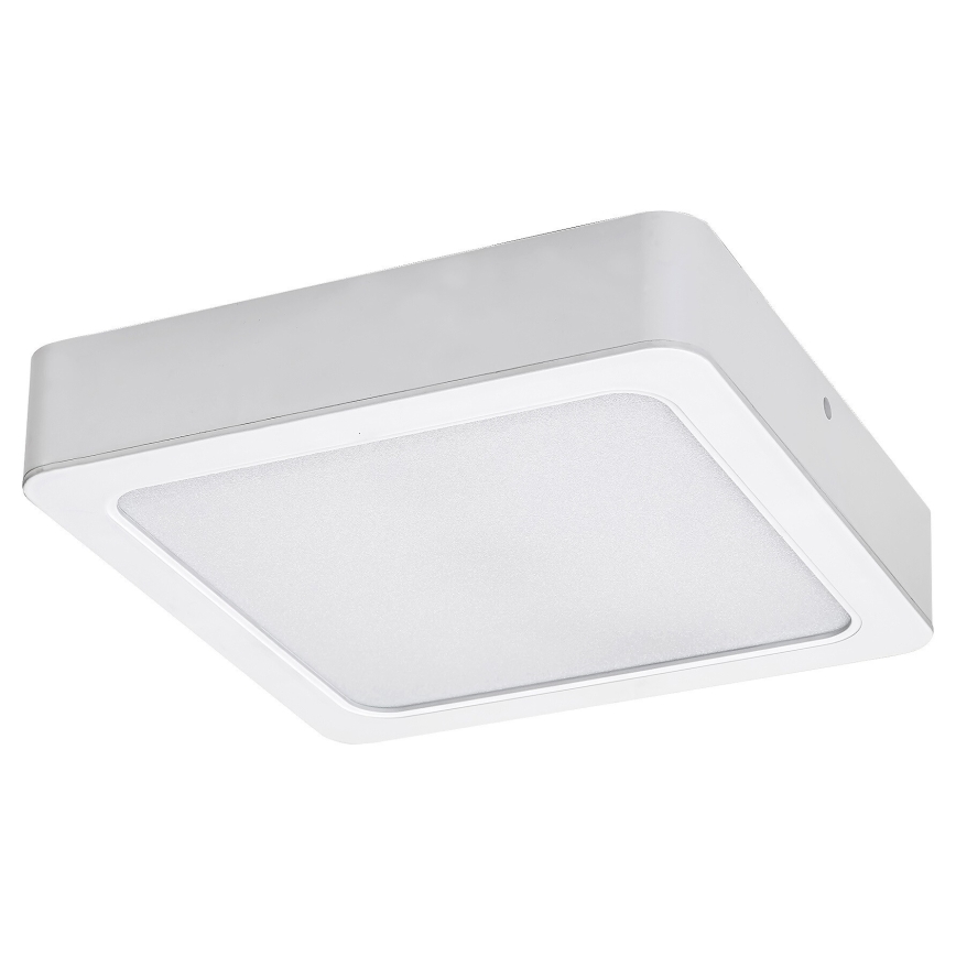 Rabalux - LED Plafon LED/15W/230V 4000K 16x16 cm biały