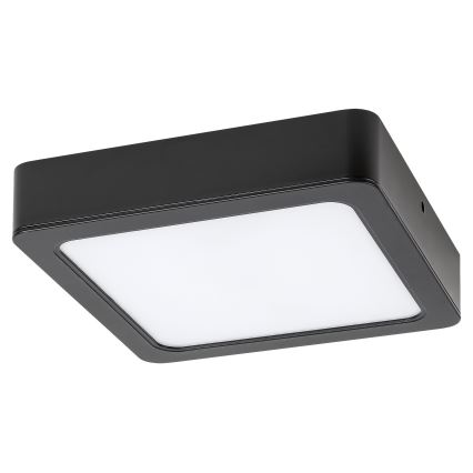 Rabalux - LED Plafon LED/15W/230V 4000K 16x16 cm czarny