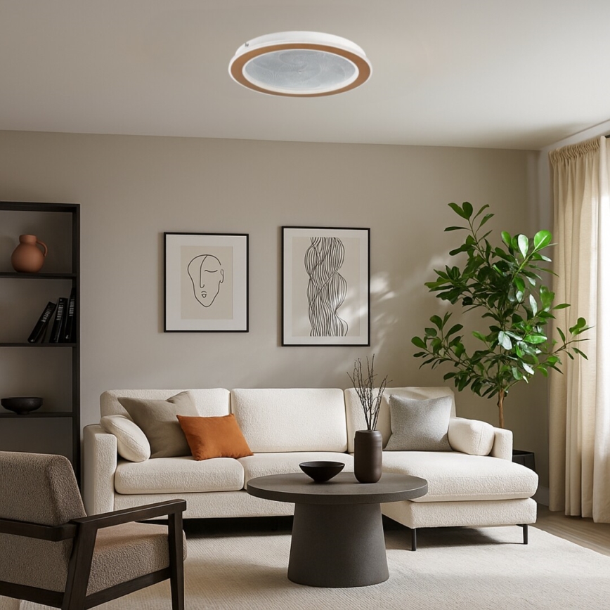 Rabalux - Ściemnialny plafon LED/24W/230V 3000-6500K, średnica 40 cm + pilot zdalnego sterowania