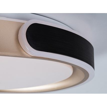 Rabalux - LED Plafon ściemnialny LED/48W/230V 3000-6500K + zdalne sterowanie