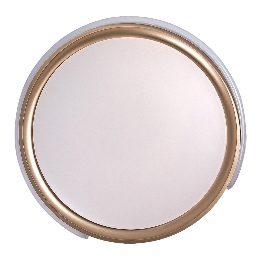 Rabalux - LED Plafon ściemnialny LED/48W/230V 3000-6500K + zdalne sterowanie