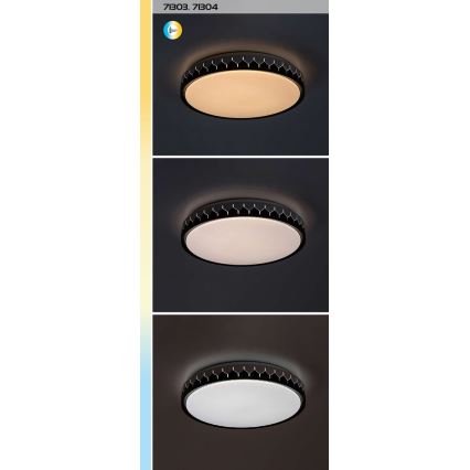 Rabalux - LED Plafon ściemnialny LED/48W/230V 3000-6500K + zdalne sterowanie