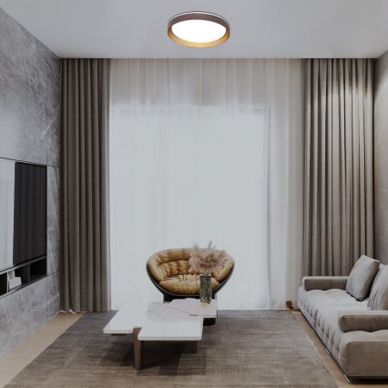 Rabalux - LED Plafon ściemnialny LED/48W/230V 3000-6500K + zdalne sterowanie