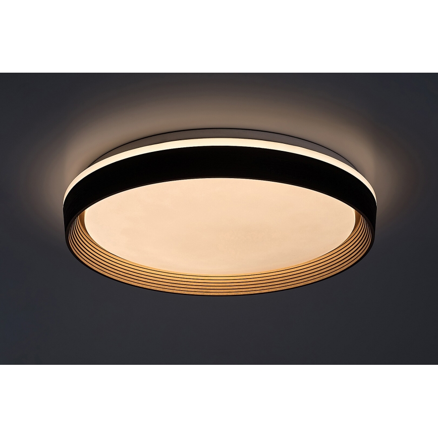Rabalux - LED Plafon ściemnialny LED/48W/230V 3000-6500K + zdalne sterowanie