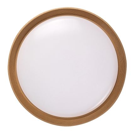 Rabalux - LED Plafon ściemnialny LED/48W/230V 3000-6500K + zdalne sterowanie