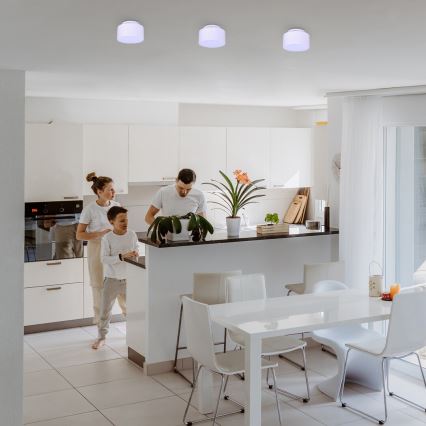 Rabalux - Oprawa sufitowa LED 24W/230V, 3000K, biała, śr. 14 cm