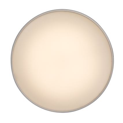 Rabalux - Oprawa sufitowa LED 24W/230V, 3000K, biała, śr. 14 cm