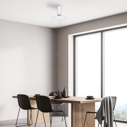 Rabalux - Lampa sufitowa LED/20W/230V 3000K biała śr. 20 cm