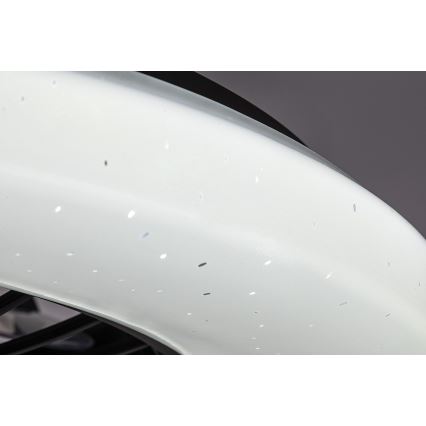 Rabalux - LED Ściemniany plafon z wentylatorem LED/48W/230V 3000-6500K + zdalne sterowanie