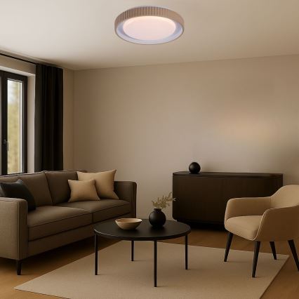 Rabalux - LED ściemnialna oprawa sufitowa LED/48W/230V 3000-6500K śr. 49,5 cm + zdalne sterowanie