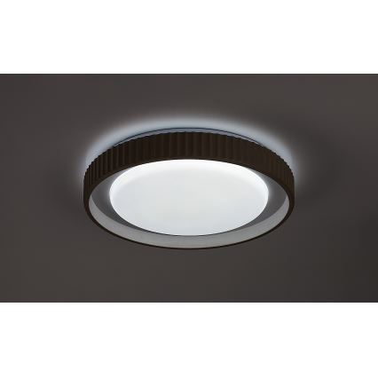 Rabalux - LED ściemnialna oprawa sufitowa LED/48W/230V 3000-6500K śr. 49,5 cm + zdalne sterowanie