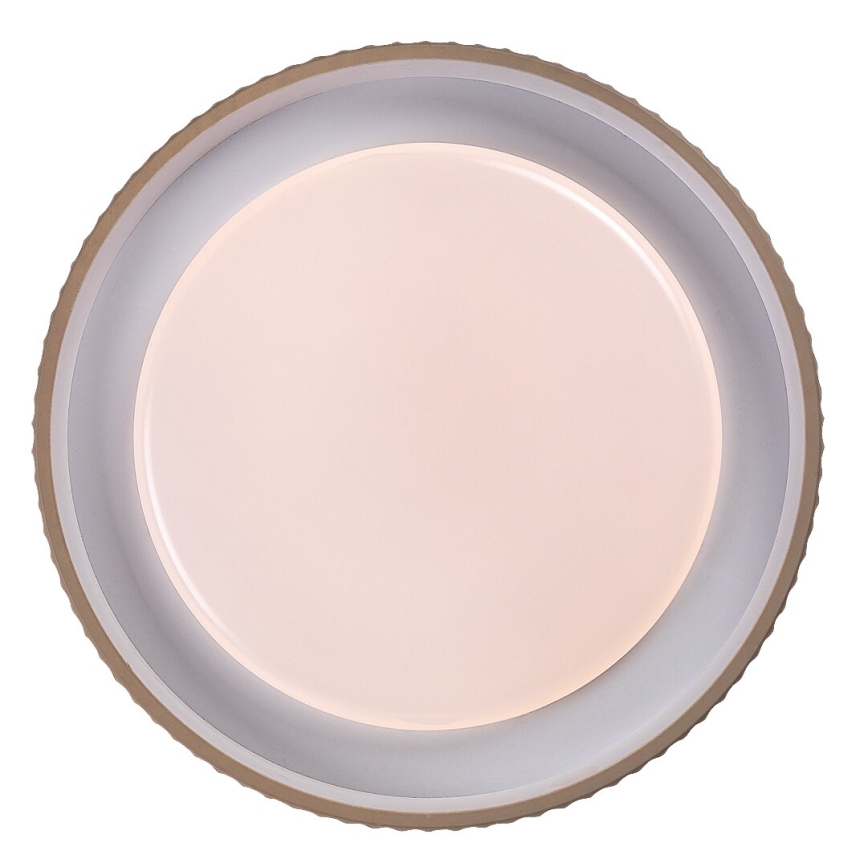 Rabalux - LED ściemnialna oprawa sufitowa LED/48W/230V 3000-6500K śr. 49,5 cm + zdalne sterowanie