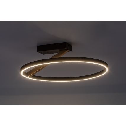 Rabalux - Lampa sufitowa LED/24W/230V 3000K śr. 45 cm