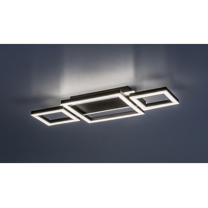 Rabalux - Lampa sufitowa LED 24W/230V, 4000K, 22x51 cm