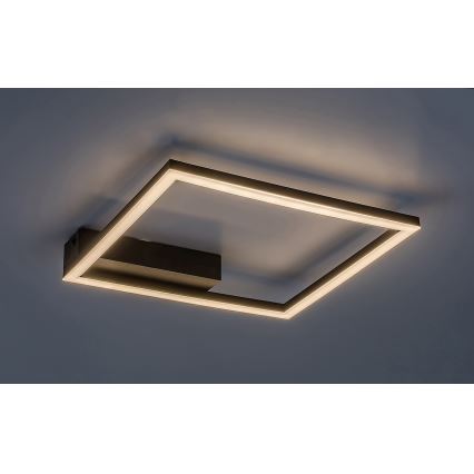 Rabalux - LED Plafon LED/24W/230V 3000K