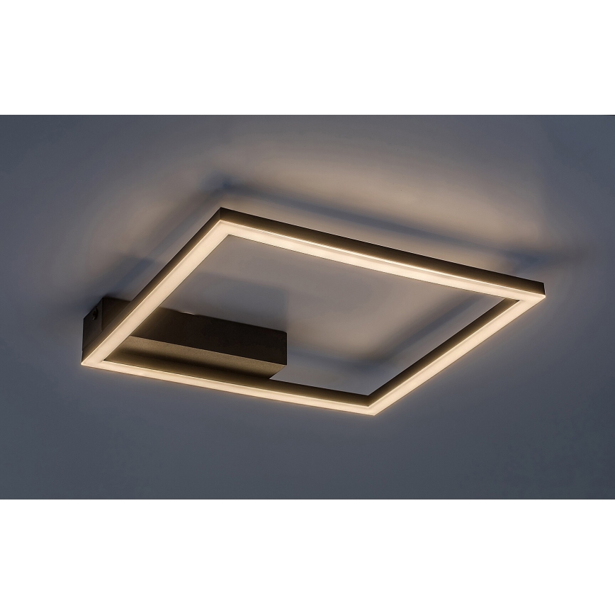 Rabalux - LED Plafon LED/24W/230V 3000K