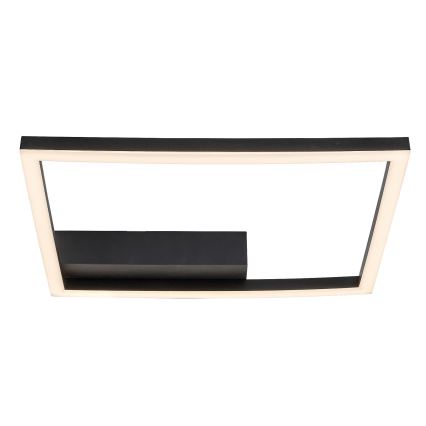 Rabalux - LED Plafon LED/24W/230V 3000K
