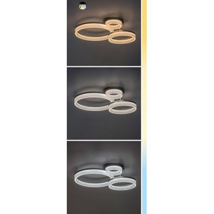 Rabalux - LED Lampa sufitowa LED/24W/230V 3000/4000/6500K 38x51 cm matowy chrom