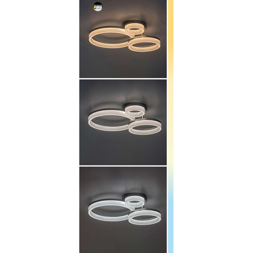 Rabalux - LED Lampa sufitowa LED/24W/230V 3000/4000/6500K 38x51 cm matowy chrom