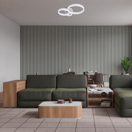 Rabalux - Lampa sufitowa LED 24W/230V 3000/4000/6500K 38x51 cm matowy chrom