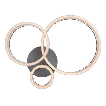 Rabalux - Lampa sufitowa LED 24W/230V 3000/4000/6500K 38x51 cm matowy chrom