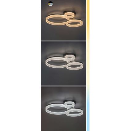 Rabalux - LED Plafon LED/24W/230V 3000/4000/6500K czarny