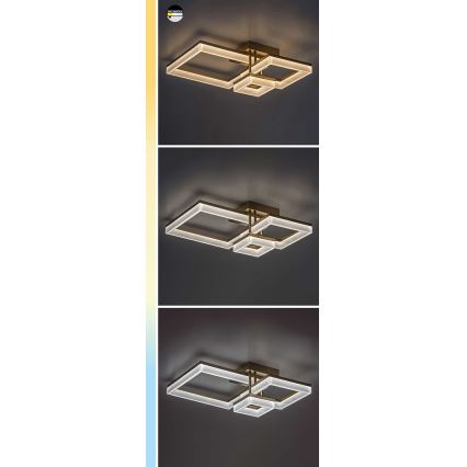 Rabalux - LED Plafon LED/22W/230V 3000/4000/6500K matowy chrom