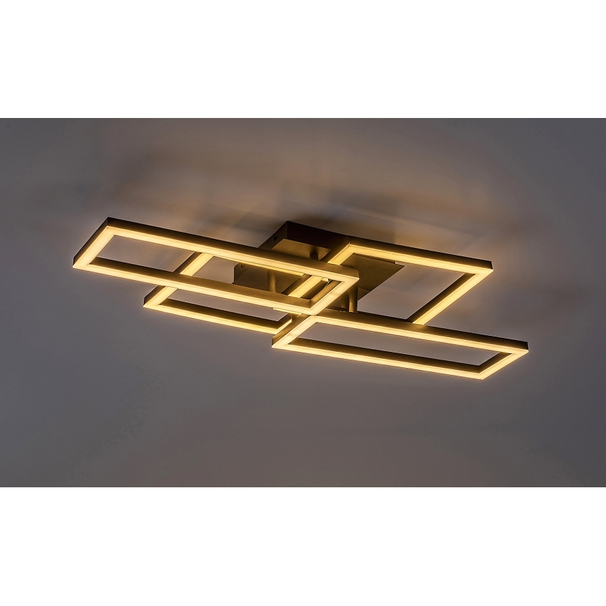 Rabalux - LED Plafon ściemnialny LED/40W/230V 3000-6500K + zdalne sterowanie