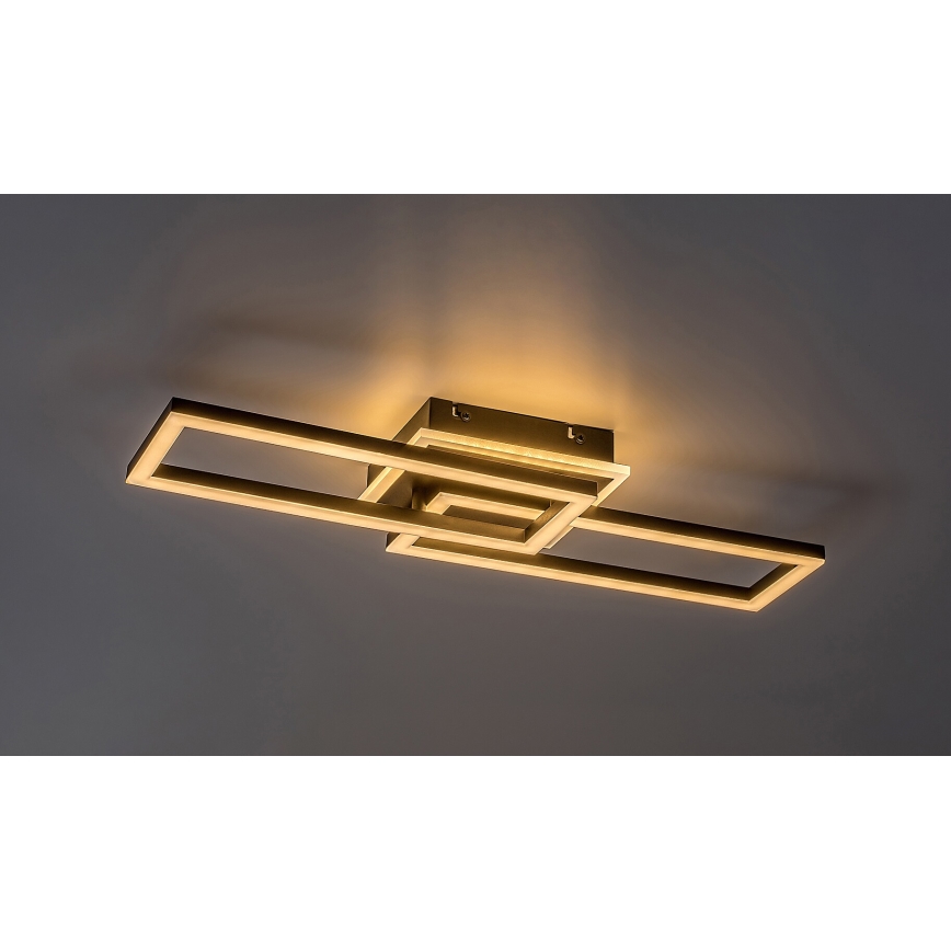 Rabalux - LED Plafon ściemnialny LED/30W/230V 3000-6500K + zdalne sterowanie