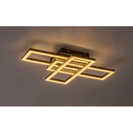Rabalux - Ściemnialna oprawa sufitowa LED/40W/230V 3000-6500K + pilot zdalnego sterowania 35x50 cm