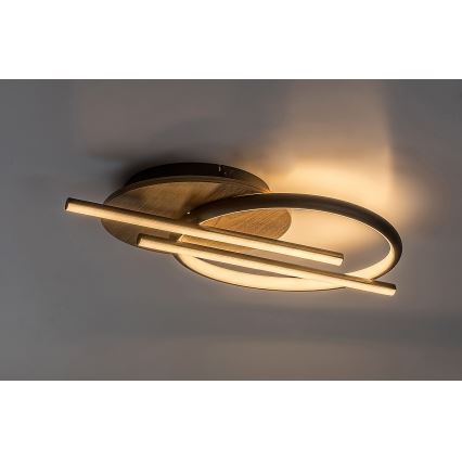 Rabalux - LED Plafon LED/40W/230V 3000/4000/6500K