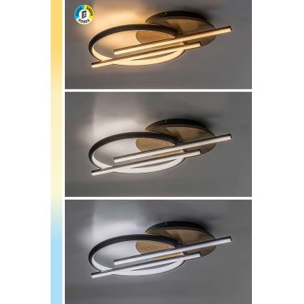 Rabalux - LED Plafon LED/40W/230V 3000/4000/6500K