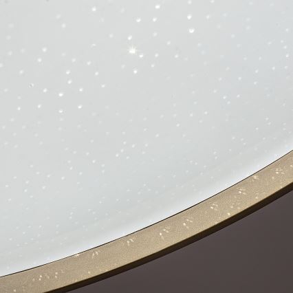 Rabalux - ściemnialna oprawa sufitowa LED/34W/230V 3000-6500K śr. 38 cm + pilot zdalnego sterowania