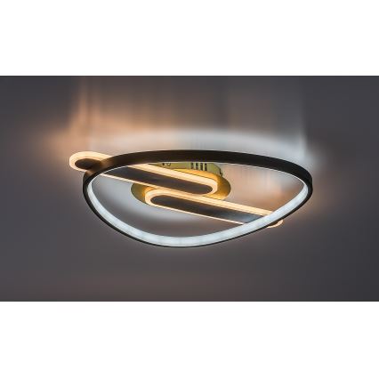 Rabalux - Ściemnialna oprawa sufitowa LED/60W/230V 3000-6000K 53x45 cm + pilot zdalnego sterowania