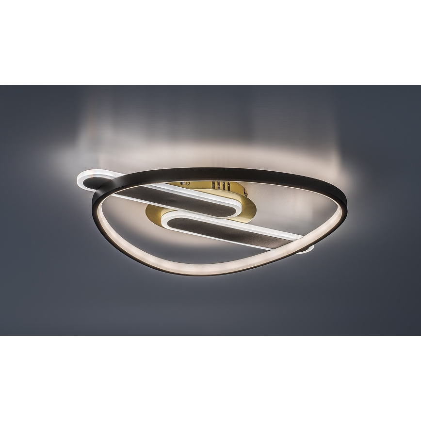 Rabalux - Ściemnialna oprawa sufitowa LED/60W/230V 3000-6000K 53x45 cm + pilot zdalnego sterowania
