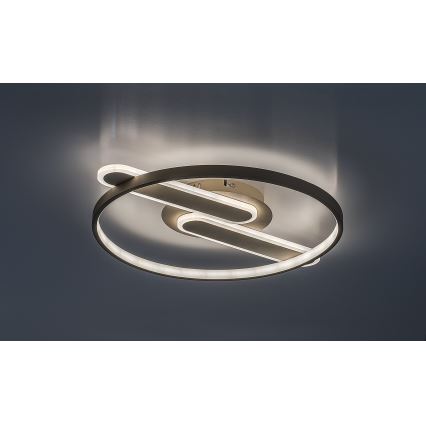 Rabalux - Ściemnialny plafon LED/55W/230V 3000-6000K 53x45 cm + zdalne sterowanie