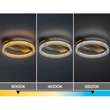 Rabalux - ściemnialna lampa sufitowa LED/18W/230V 3000-6500K 37x33 cm + zdalne sterowanie