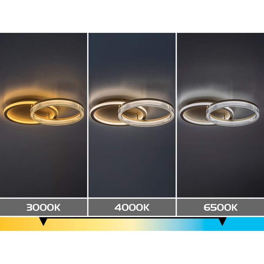 Rabalux - ściemnialna oprawa sufitowa LED/22W/230V 3000-6500K 53,5x35 cm + zdalne sterowanie