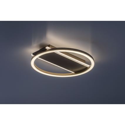 Rabalux - LED Oprawa sufitowa LED/24W/230V śr. 33 cm