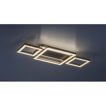 Rabalux - Lampa sufitowa LED/24W/230V 51,5x22 cm